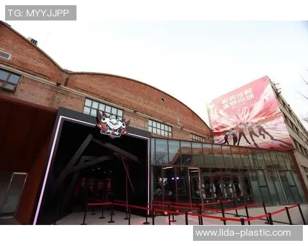 CSGO战术解析：深入探讨JDG战队的防守策略与执行细节